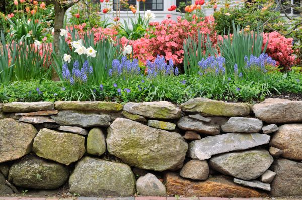 Stone Wall Hardscaping in San Antonio