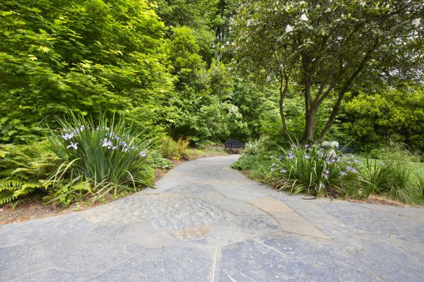 Stone Hardscape Service in San Antonio